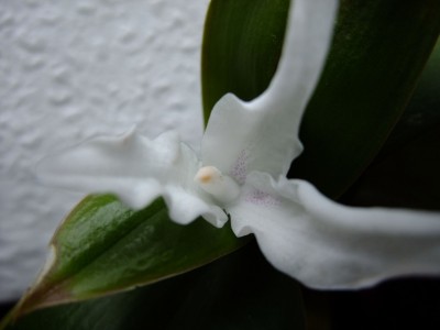 DSCF6691.JPG