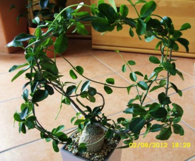 Photo4.jpg