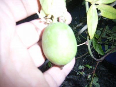 RIMG0286.JPG
