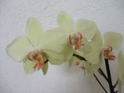 DSCF6880.JPG