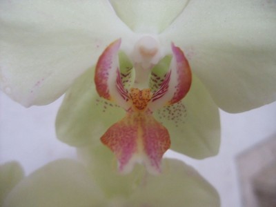 DSCF6878.JPG