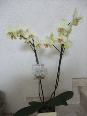 DSCF6876.JPG