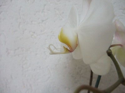 DSCF6865.JPG