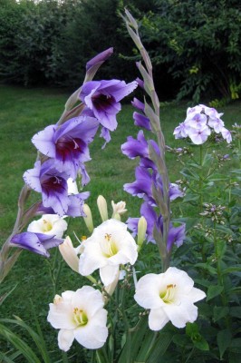Blauweiß_6033.jpg