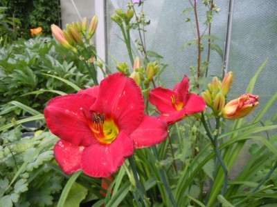 DSCN2139.JPG