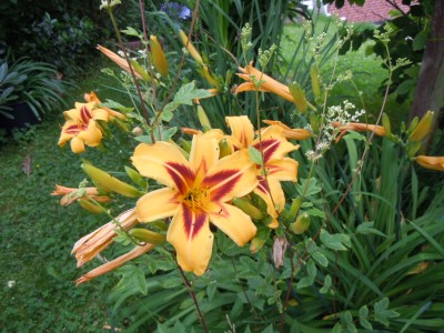 DSCN2150.JPG