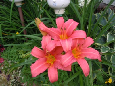 DSCN2273.JPG