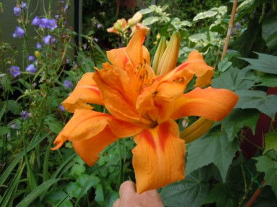 DSCN2258.JPG