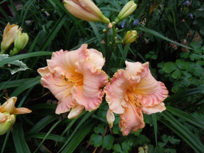 DSCN2256.JPG