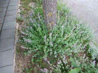 124.jpg
