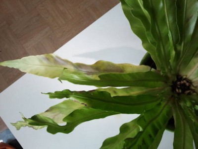 2012-08-06 12.39.04.jpg