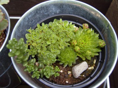 S1030104.JPG