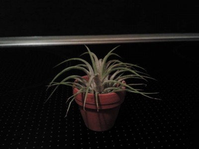 2012-08-07 23.09.11.jpg