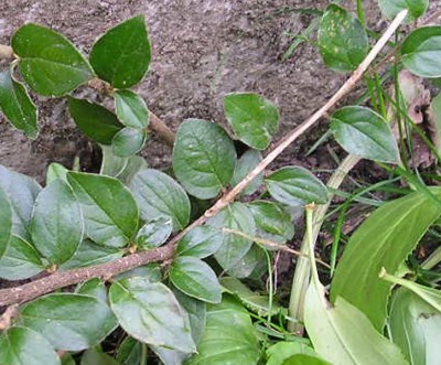 P9140001_01.jpg