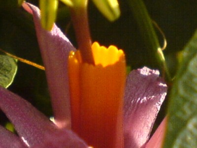 14.9. 012.jpg