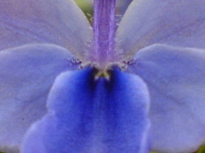 14.9. 013.jpg