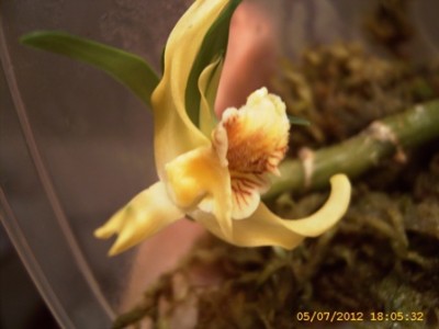 DSCI0297.JPG