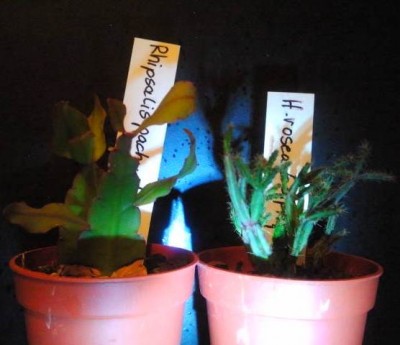 2012-08-10 00.35.18.jpg