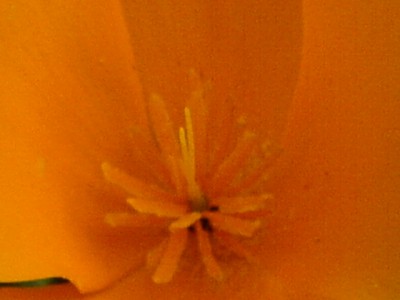 14.9. 025.jpg