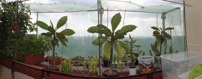 panorama.jpg