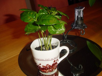 DSC03153.JPG