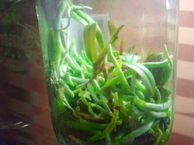 2012-08-11 07.08.52.jpg