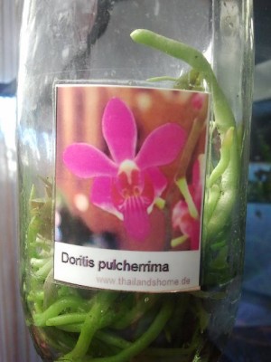 2012-08-11 07.14.50.jpg