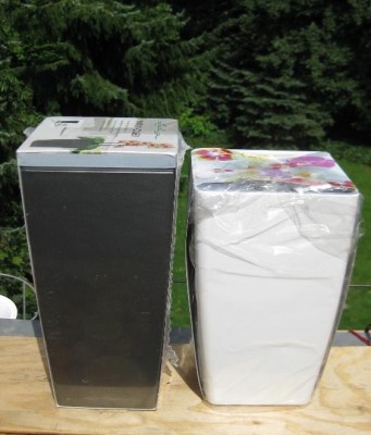 Mimos plastia 1.jpg