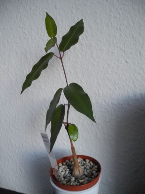 DSCN4470.JPG