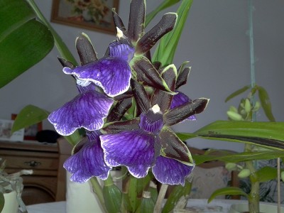 20120811_131338.jpg