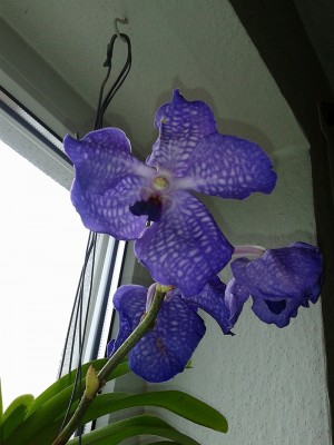 20120811_130910.jpg