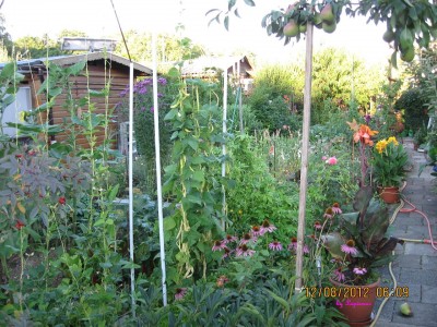 Garten 2012_2526.jpg