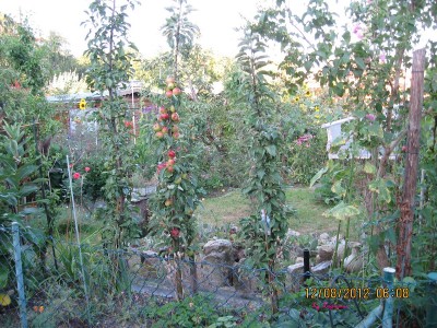 Garten 2012_2524.jpg
