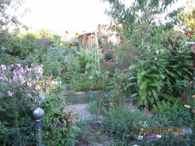 Garten 2012_2521.jpg