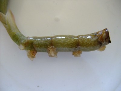 DSCF7064.JPG