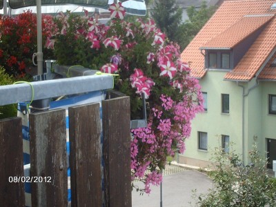 K1600_IMAG2358.JPG