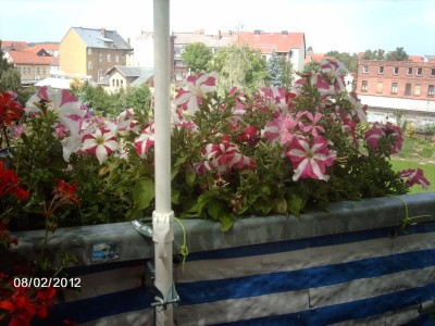 K800_IMAG2379.JPG