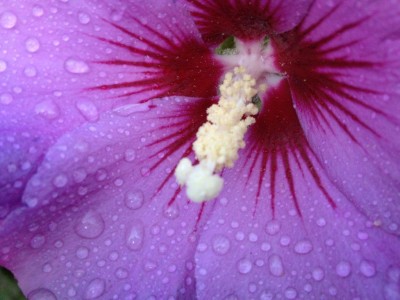 holland 2012 und andere 131.jpg