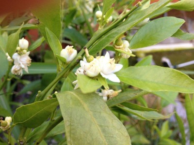 holland 2012 und andere 157.jpg