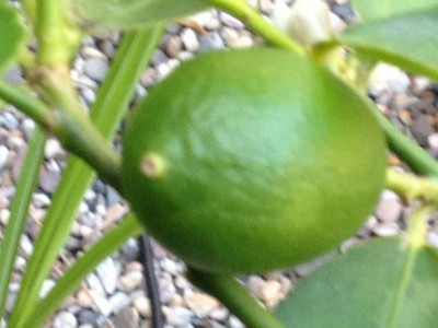 holland 2012 und andere 155.jpg