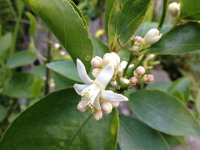 holland 2012 und andere 154.jpg