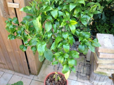 holland 2012 und andere 151.jpg