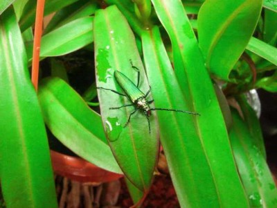 2012-07-15 18.00.06.jpg