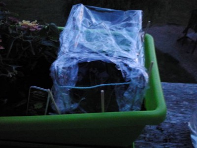 2012-08-05 21.37.11.jpg