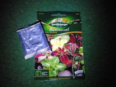 2012-08-05 21.43.42.jpg