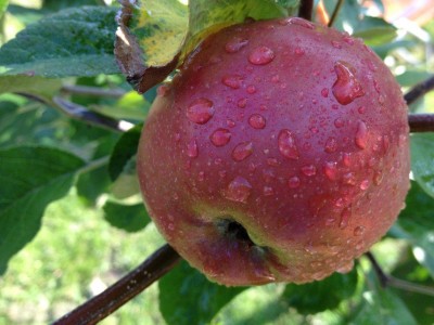 holland 2012 und andere 129.jpg