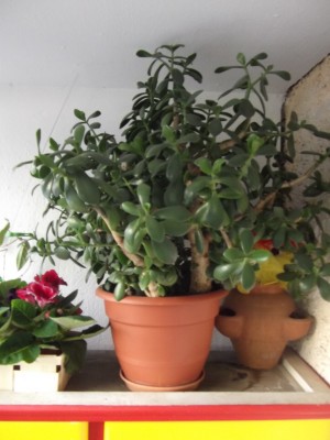 DSCF5912.JPG