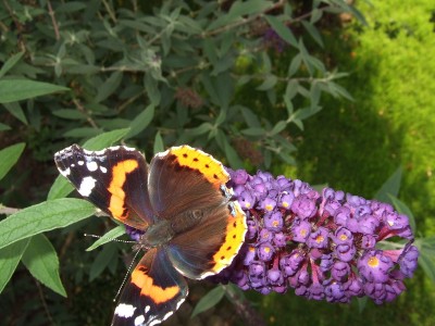 k-2007_09120006.JPG