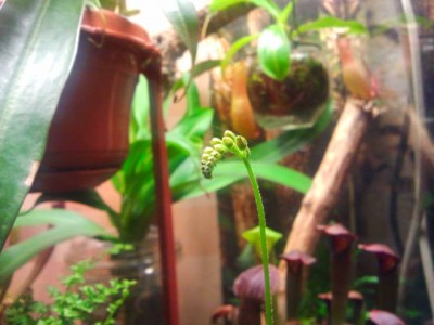 2012-08-15 01.29.22.jpg