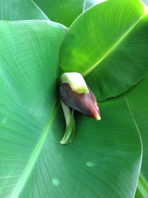 Foto 3.JPG